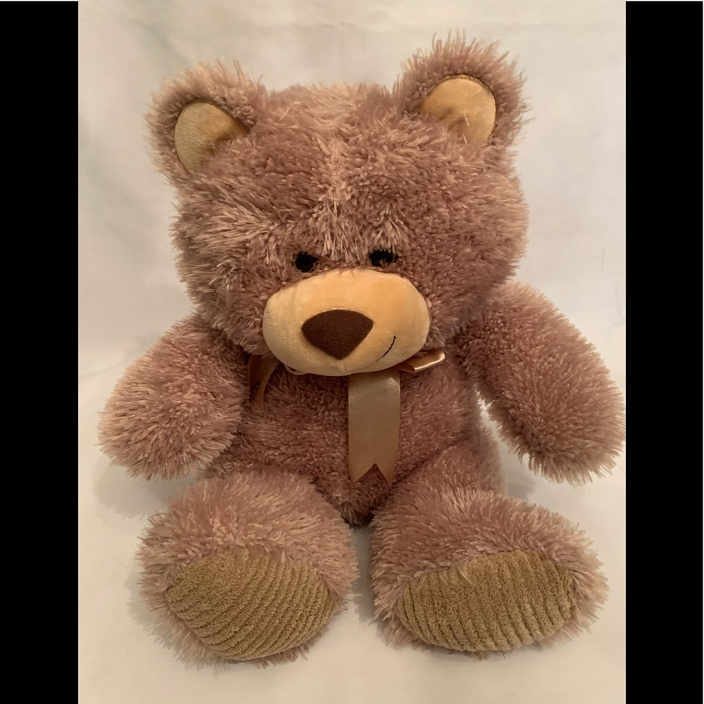 NWOT Plush Teddy Bear